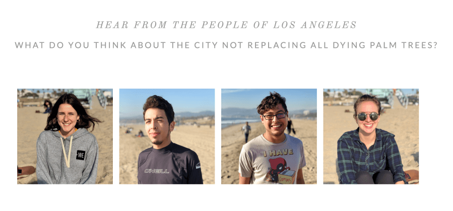 Screen Shot 2018-07-18 at 4.12.53 PM.png